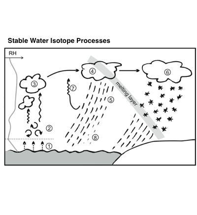 Stable Water Isotope Processes
