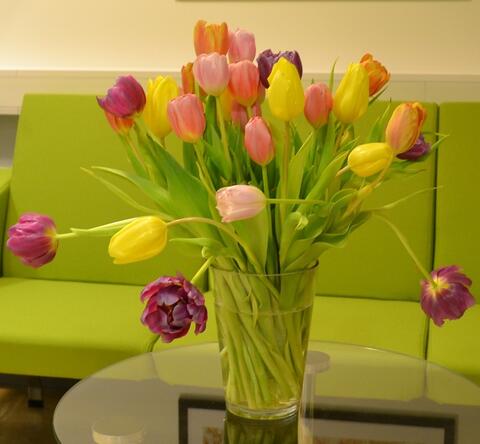 A vase of colorful tulips to decorate this web page.