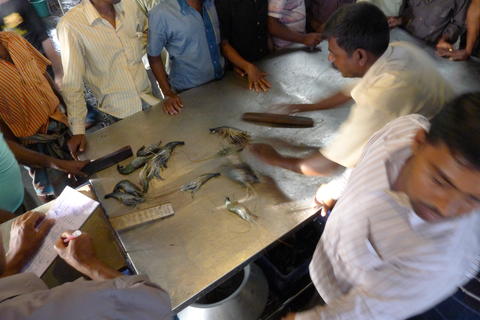 Farmed fish and seafood being traded at an auction house in the Khulna region west in Bangladesh, in March 2012.