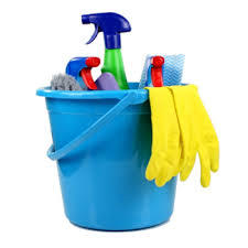 Wash bucket with cleaning products 