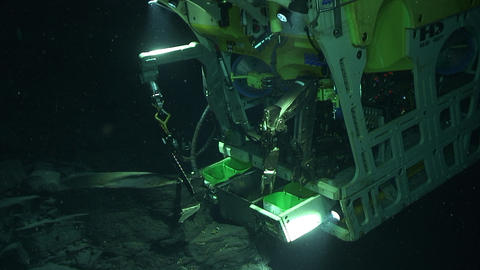 A remotely operated underwater vehicle, commonly referred to as ROV, can  collect biologic and sediment samples from the sea floor.