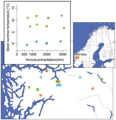 Map of western Norway showing the location of the experimental sites with an inset graph shwoing the precipitation and average summer temperature of each site
