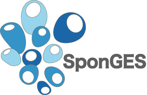 SponGES logo