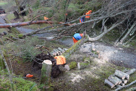 Clean-up after the storm in the robles valley.