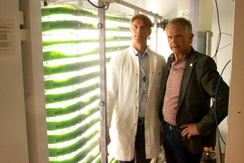 TESTING PROMISING ALGAE: Hans Kleivdal, Research Director of Uni Research and Associate Professor at the University of Bergen, and Anders Goksøyr, Professor at the University of Bergen, in front of the laboratory facility at the Department of Biology.