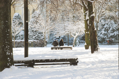 Two persons sitting on a bench with trees covered with snow around