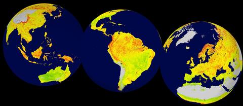 Et verdenskart som viser en ny målemekanisme, Vegetation Sensitivity Index (VSI).