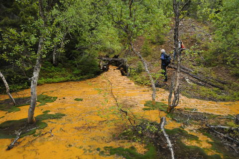 A river of substrate leaching from a land-based tailings deposit
