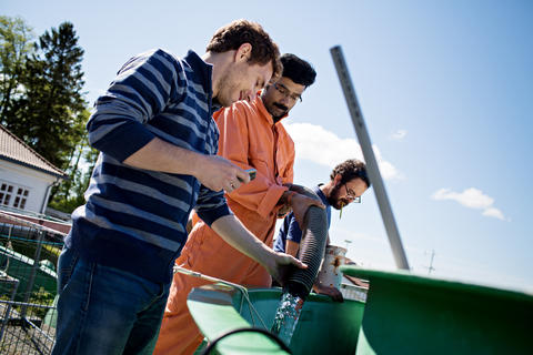 GROW, EAT, DIE: In these tanks at Espegrend outside Bergen viruses, bacteria and plankton grow, eat each other and die, within three weeks. Postdoctoral fellows Antonio Pagarete, Rakhesh Madhusoodhanan and Paolo Simonelli fill the tanks with water from th