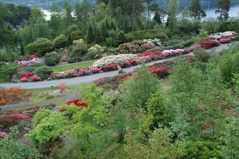 Cultivated garden varieties in Nydalen.