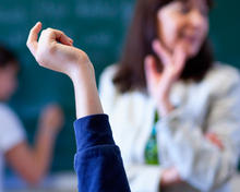 Lektor framandspråk