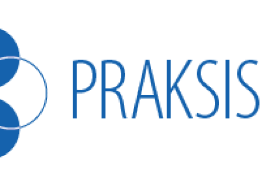 Logo for PraksisNett