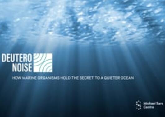 DeuteroNoise - How marine organisms hold the secret for a quieter ocean.