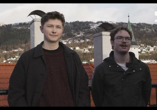 Sammenlignende politikk, bachelor på Universitetet i Bergen