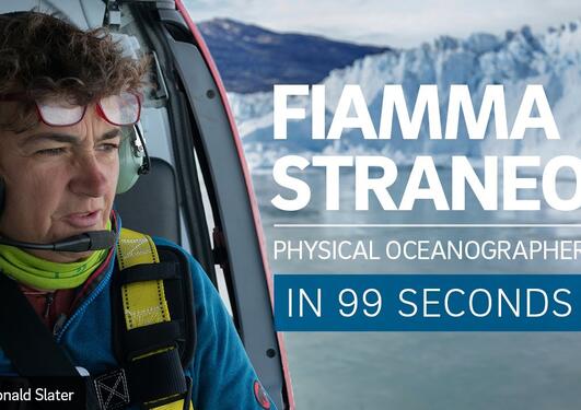 A Scientist's Life in 99 Seconds: Physical Oceanographer Fiamma Straneo