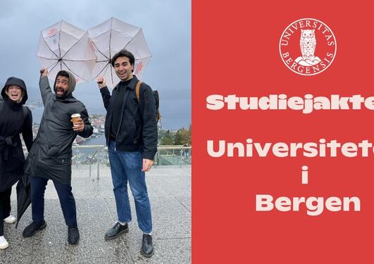 Studiejakten - Universitetet i Bergen