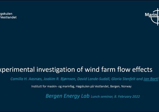 Experimental investigation of wind farm flow effects