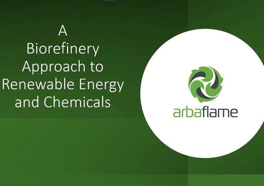 A biorefinery approach to renewable energy and chemicals