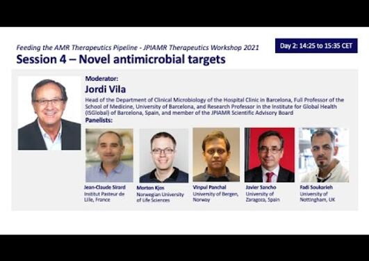 Therapeutics Workshop: Novel antimicrobial targets.