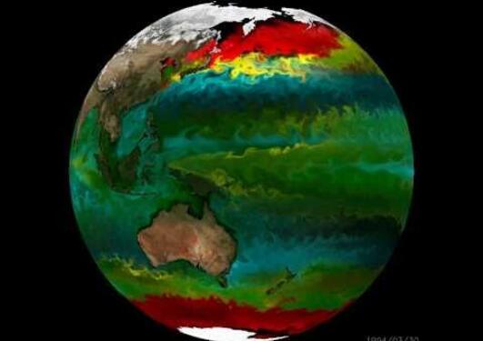 Modeled phytoplankton types on cubed sphere