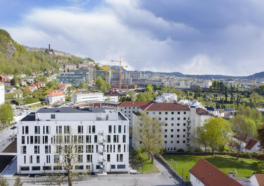 Medisinsk Campus UiB