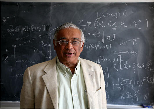 Profile picture of Srinivasa Varadhan standing in front of a blackboard