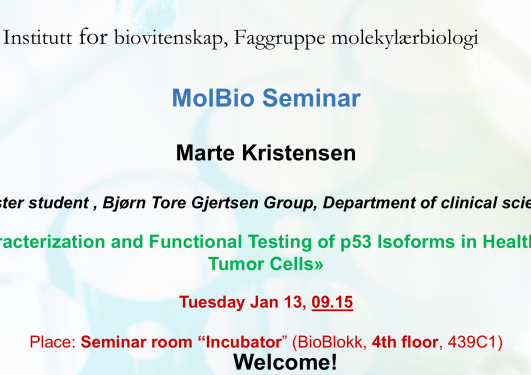 Posteroppslag om seminaret