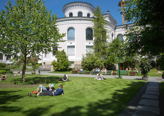University of Bergen, University Museum