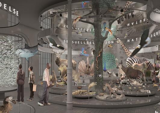 illustrasjon over et rom med utstillinger av dyr, fugler, fisker.