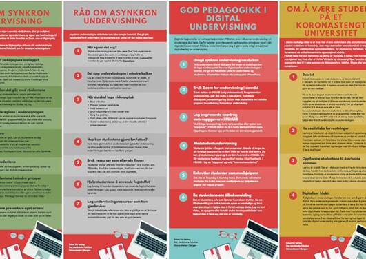 Bilde av brosjyrer fra EFL