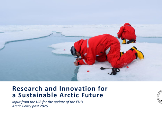 researchers in the Arctic