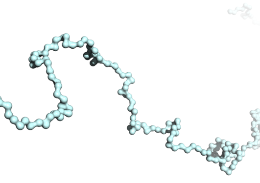 Single periaxin conformation