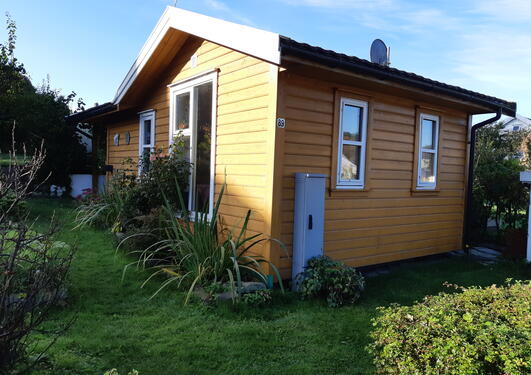 Positive energy districts from the past and for the future? An urban allotment garden in Norway