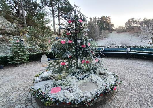 Midt i blondehushagen er det bygget et juletre av grener fra de vanligste pyntegrøntartene. Alle artene er merket med navneskilt.