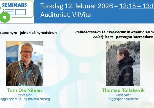 Posteroppslag om seminaret