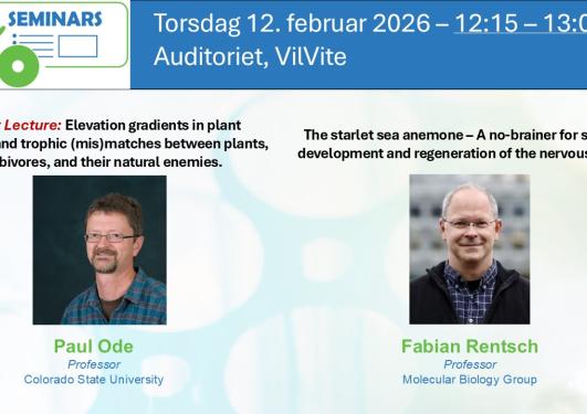 Posteroppslag om seminaret