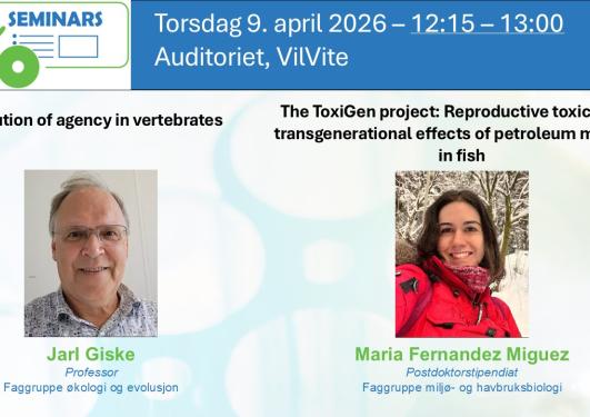 Posteroppslag om seminaret