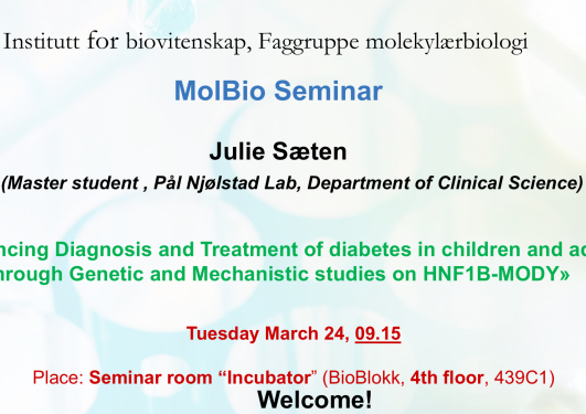 Posteroppslag om seminaret