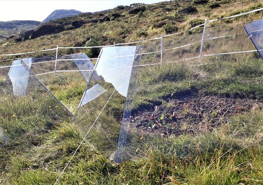 Some open-top glass-sided chambers on a grassland plot