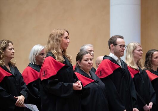 Bilde fra doktorpromosjon, kandidater i sort kåpe med krage i fakultetets farge (rød)