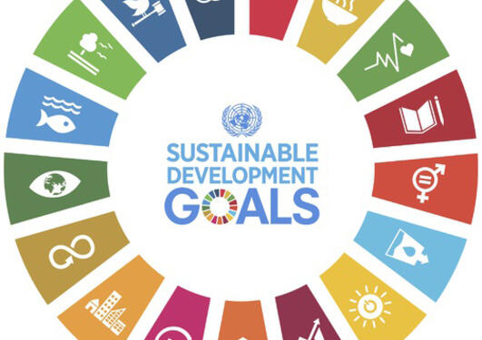 SDGs