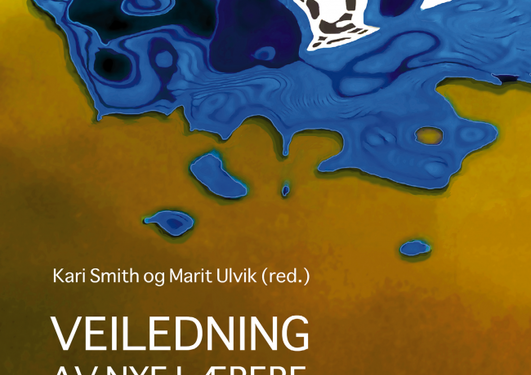 Veiledning av nye lærere