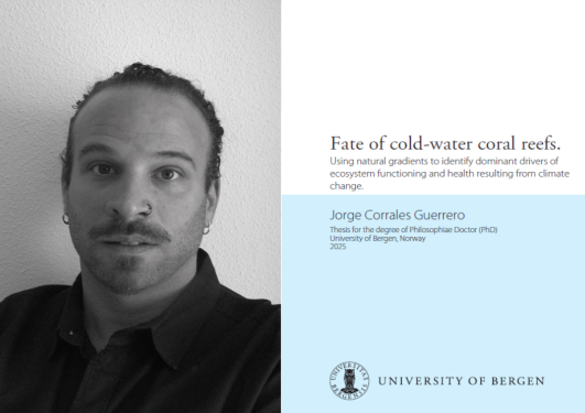 Jorge Corrales Guerrero