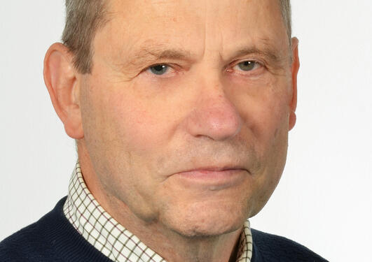 Nicolaas Dingeman Eland