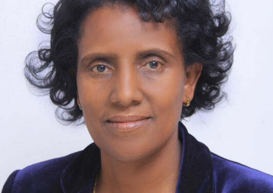 Meselech Assegid Roro