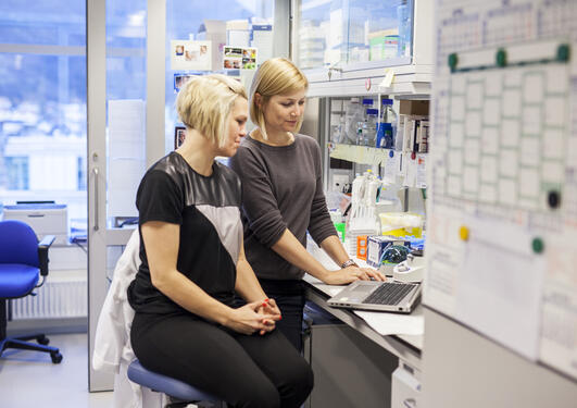 to kvinner på labben over en pc