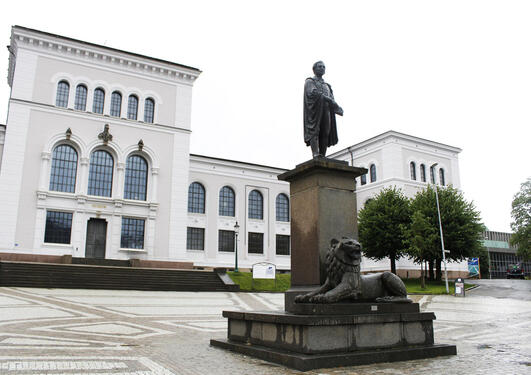 Universitetsmuseet