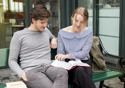 To studenter på en benk leser i en lovbok