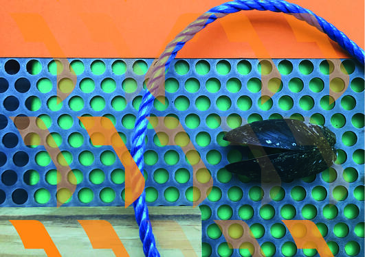 Amanda Ivarsøy Kovacs illustrasjon