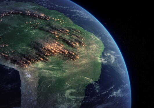 Amazon rainforest from space